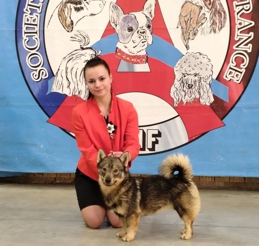 Petit mâle  né le 28/11/2025 est proposé – vendu 1000 €.