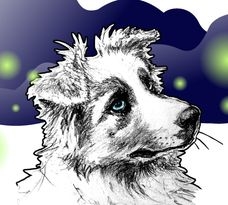 Luciole au Clair de Lune