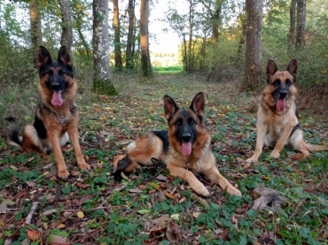 Domaine de la Cherodiere