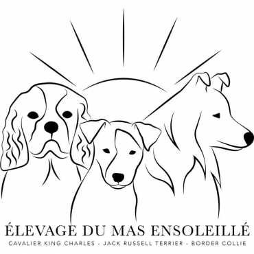 du mas ensoleillé