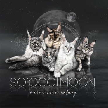 Chatterie So’Occimoon
