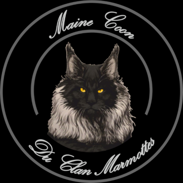 Chatterie Du Clan Marmottes