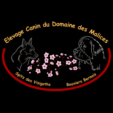 Du Domaine Des Malices