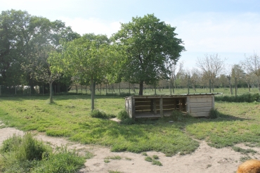 Les bergers de la Combe