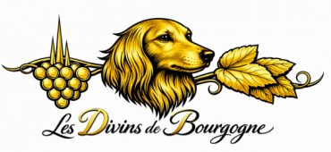 Des Divins de Bourgogne