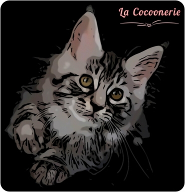 Chatterie La Cocoonerie