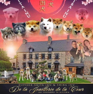 De La Joaillerie De La Cours