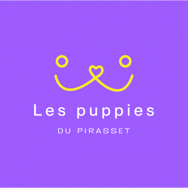 Les Puppies DU PIRASSET