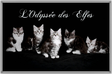 L'Odyssée des Elfes