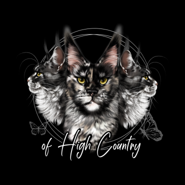 Cattery Of High Country