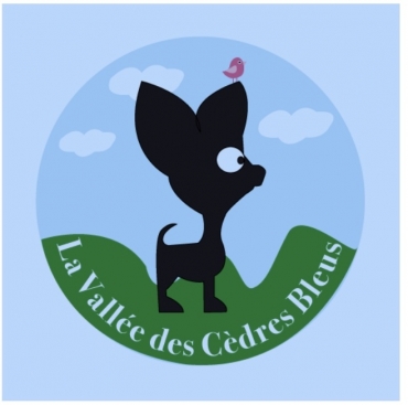 La Valle Des Cdres Bleus