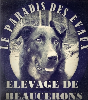 Le Paradis Des Evaux