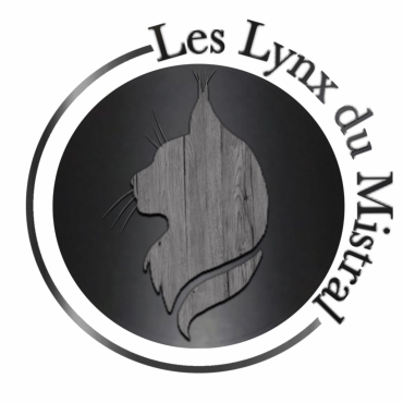 Les Lynx Du Mistral