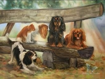 Cavalier King Charles (Cavalier King Charles Spaniel)
