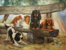 Cavalier King Charles (Cavalier King Charles Spaniel)